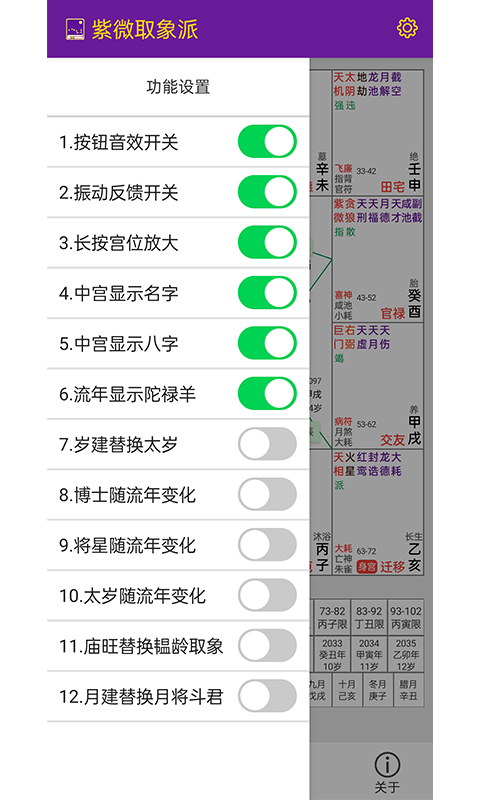 紫微取象派