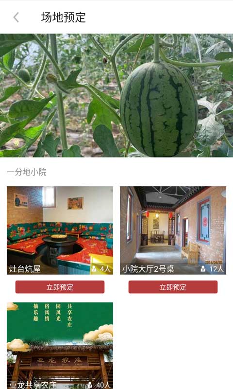 一分地
